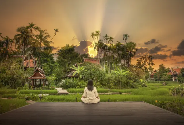 Chiang Mai Meditation