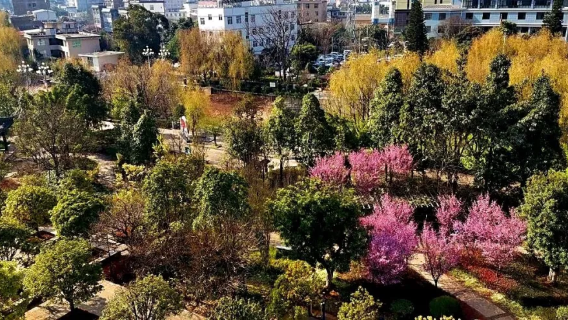 jin ping shan jian kang zhu ti gong yuan