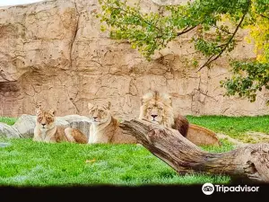 ZooParc de Beauval