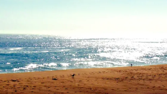Playa Las Salinas