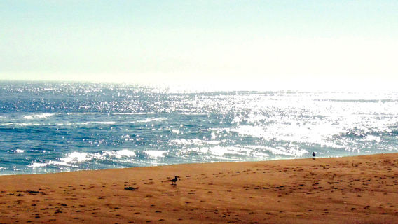 Vina del Mar