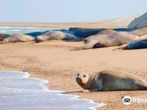 발데스 반도
