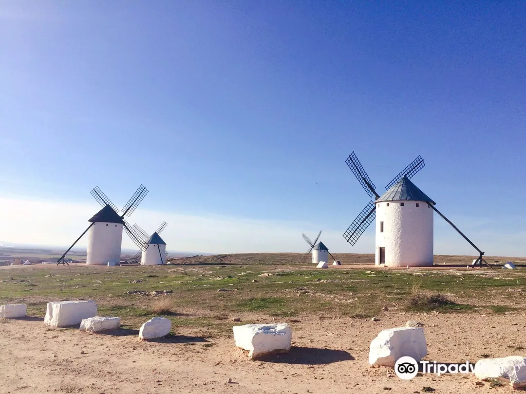 5_Molinos de Viento （WindMill）
