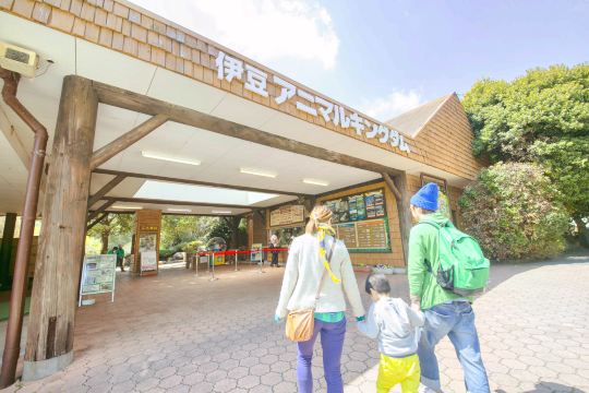 Compare 5 airports near Higashiizu
