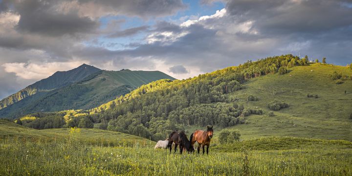 Jiadengyu National Forest Park