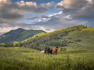 Jiadengyu National Forest Park