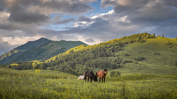 Jiadengyu National Forest Park