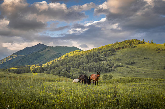 Jiadengyu National Forest Park