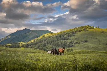 Jiadengyu National Forest Park