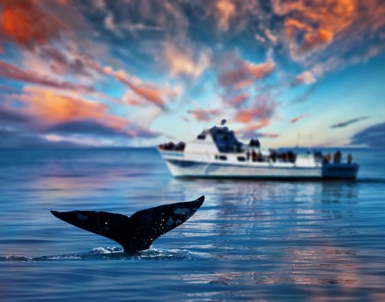 聖地牙哥 自由行套票