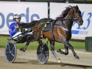 Hollywood Casino Hotel & Raceway Bangor
