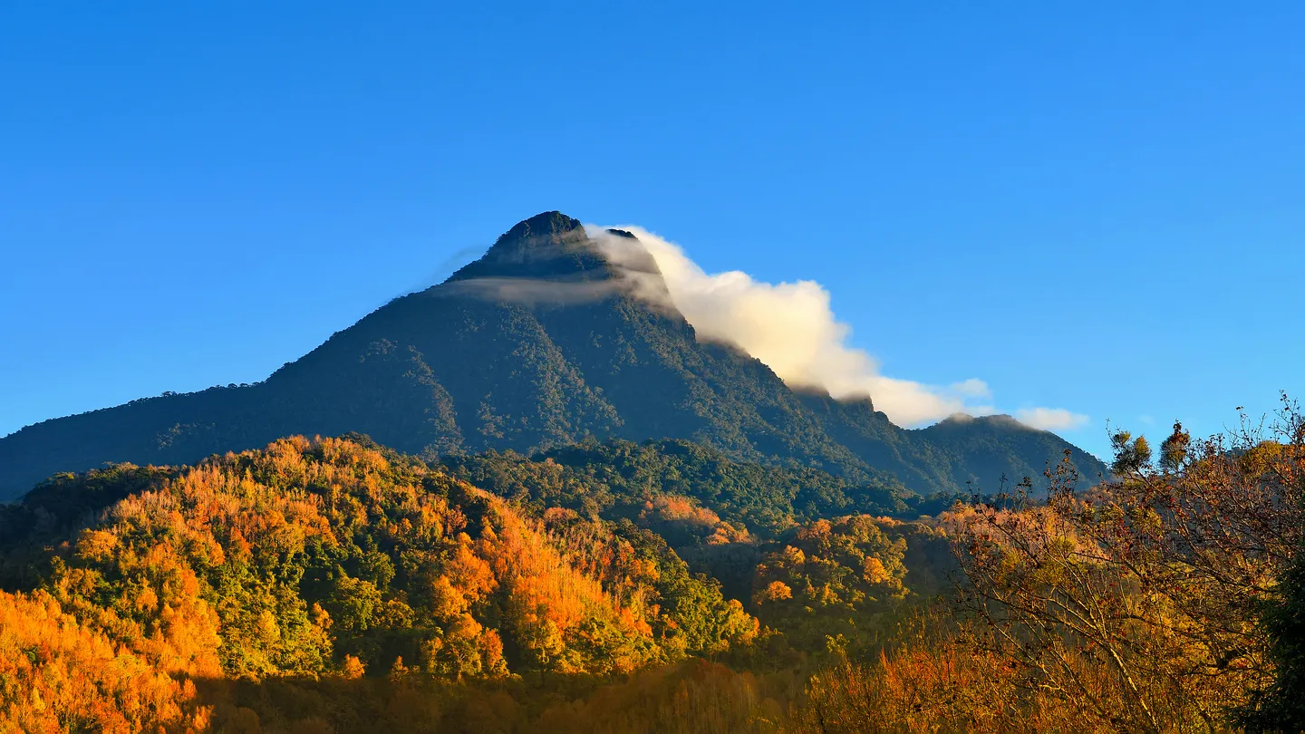 4_อุทยานแห่งชาติป่าฝนเขตร้อนไห่หนานภูเขาอู๋จื่อซาน