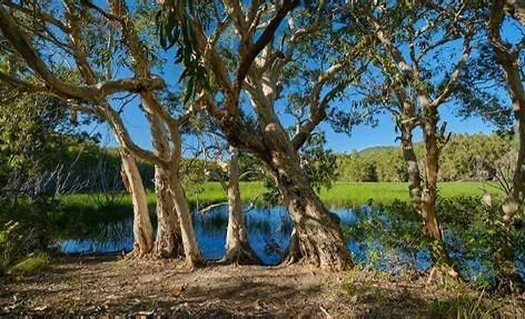 Horseshoe Bay Lagoon Conservation Park