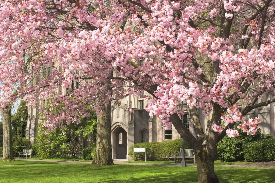 4_University of Washington