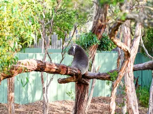 Moonlit Sanctuary Wildlife Conservation Park