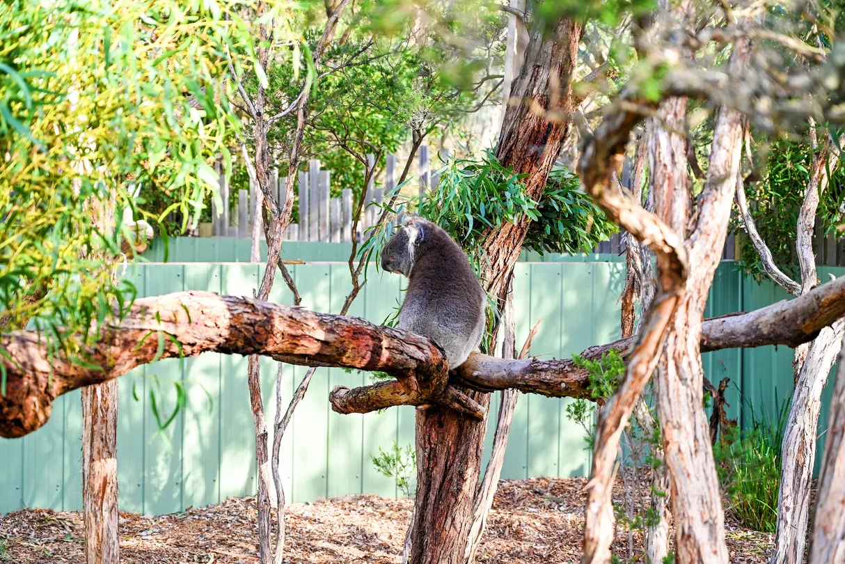 2_Moonlit Sanctuary Wildlife Conservation Park