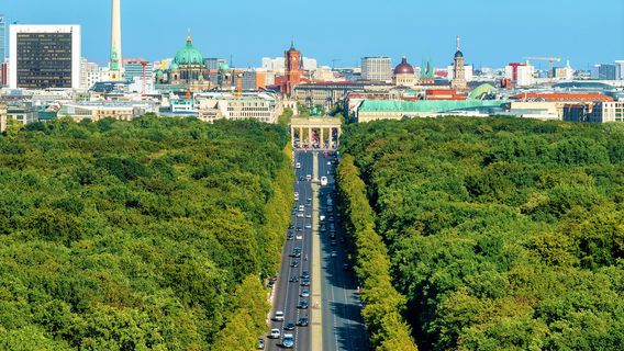 Under the Linden Trees