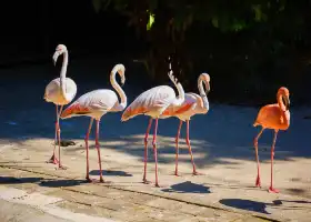 Xishuangbanna Wildlife Park