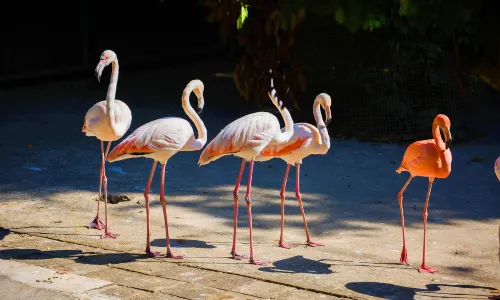 Xishuangbanna Wildlife Park