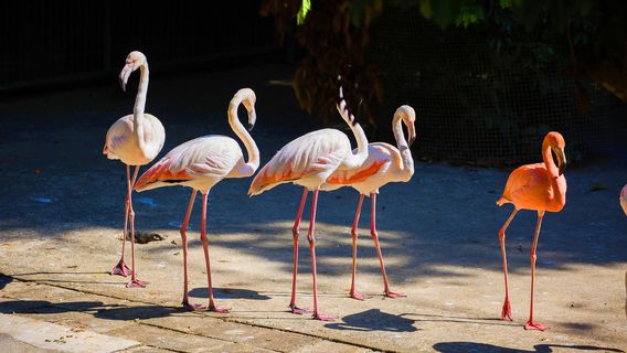 Xishuangbanna Wildlife Park