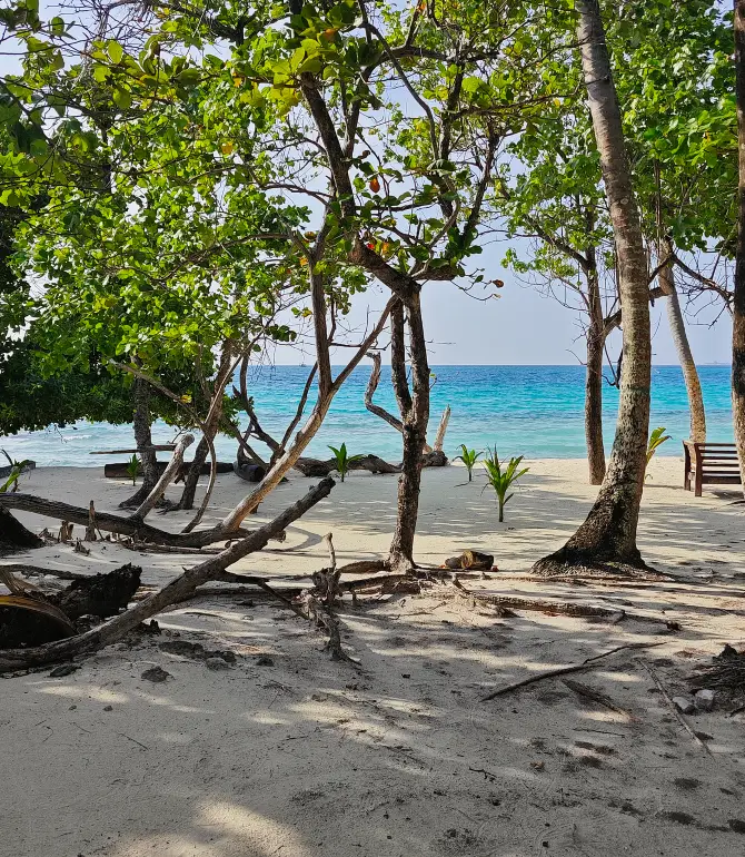 Dhigurah