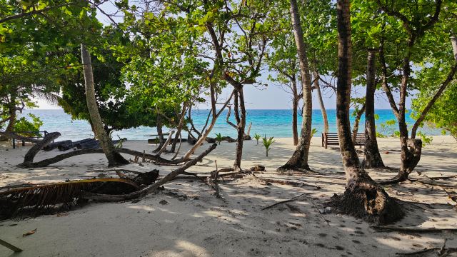 Dhigurah