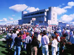Ikeda Town Autumn Wine Festival