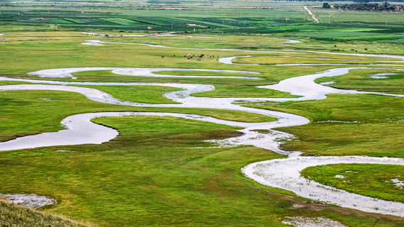 Shandianhe National Wetland Park