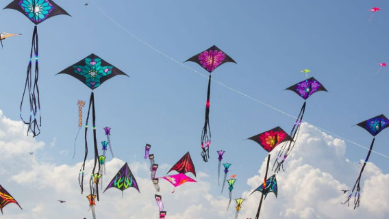 International Kite Festival Jaipur