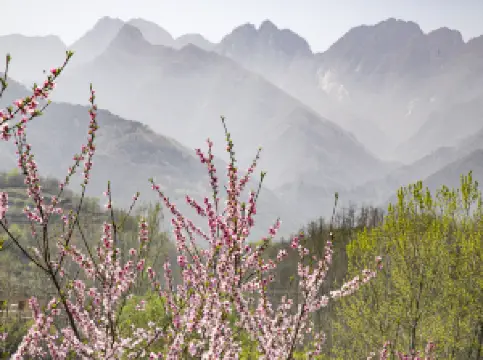 秦嶺風景区
