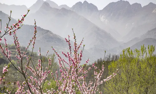 Qinling Scenic Area