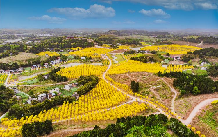 Compare 5 airports near Jianyang