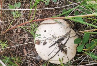 张北天路安娜庄园 User Photo