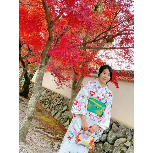  看红叶看山看小桥流水！租和服拍照超美！| 日本京都嵐山