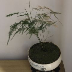 老山西味道(明清街店) User Photo