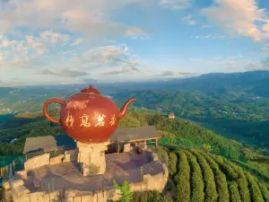 Tea Mountain Viewing Area, West Jiuhua Mountain Scenic Area