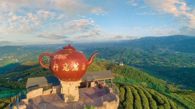Tea Mountain Viewing Area, West Jiuhua Mountain Scenic Area