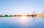 Yinchuan Mingcui National Wetland Park