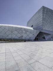 Datong Library