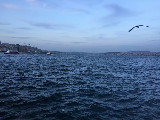 Bosphorus