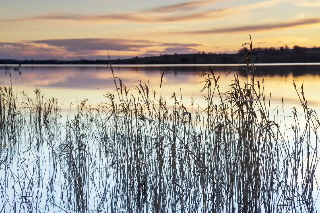 Hotels near Yanglingweihe Wetland Ecology Park