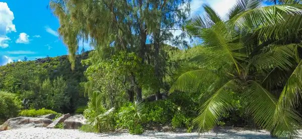 Hotels in Huraa