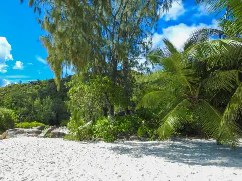 白金島附近的飯店