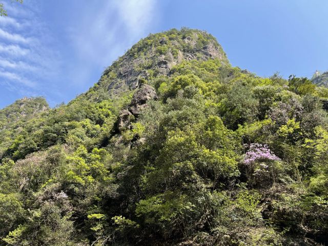 경대선곡