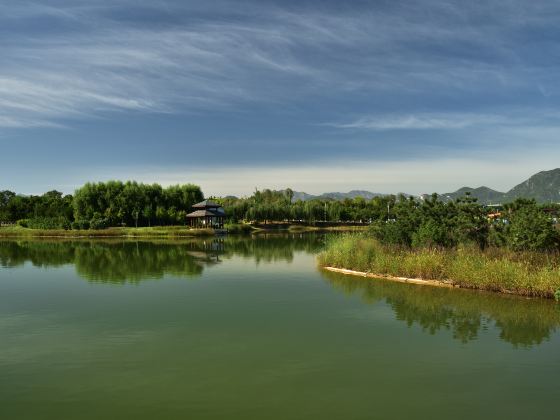 Longquanhu Wetland