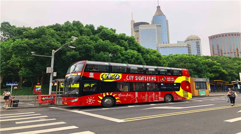 5_City Sightseeing Tour Bus