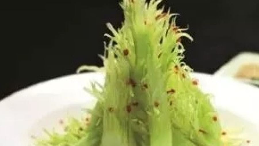 Ba,Thai Restaurant & Bar