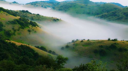 Shentian Grassland, Shenheyuan