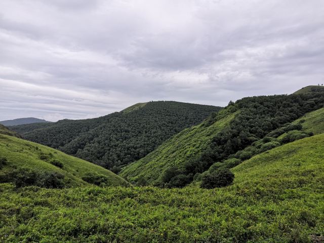 千松壩森林公園