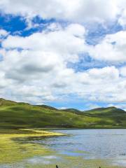 Gannan Gahai Migratory Birds Nature Reserve